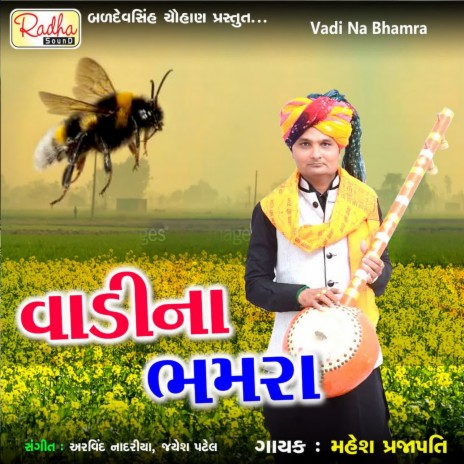 Vadi Na Bhamra | Boomplay Music