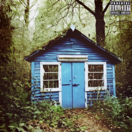 BLUE SHED ft. Xthedolphin | Boomplay Music