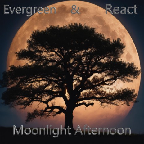 Moonlight Afternoon ft. RƎACT | Boomplay Music