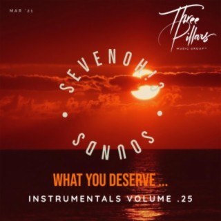 What You Deserve ... Instrumentals, Vol. 25