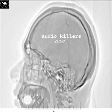 Audio Killers 2008 (Radio Edit) ft. Fness & Novacaine | Boomplay Music