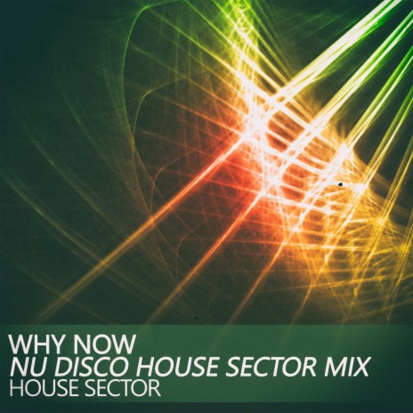 Why Now (Nu Disco House Sector Mix)
