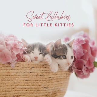 Sweet Lullabies for Little Kitties