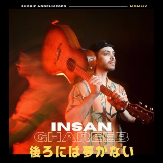 Insan Ghareeb lyrics | Boomplay Music