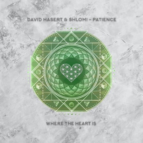 Patience ft. Shlomi | Boomplay Music