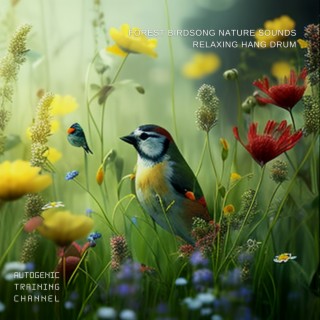Forest Birdsong Nature Sounds - Relaxing Hang Drum