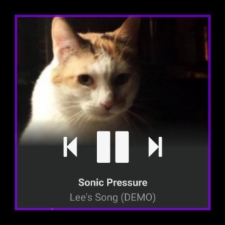 Lee's Song Demos