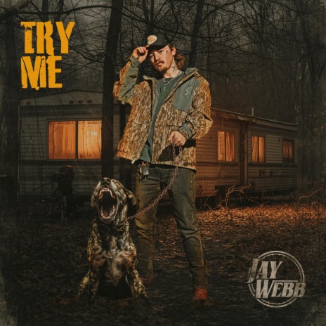 Try Me | Boomplay Music