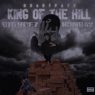 KING OF THE HILL 2