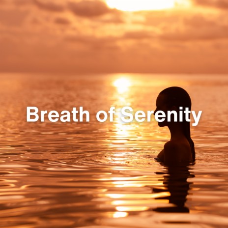 Echoes of Serenity (Relaxing Ambient Music) ft. Sleeping Music & Sleep Sounds | Boomplay Music