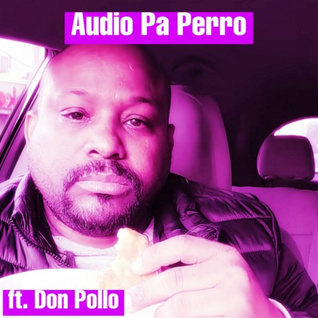 Audio Pa Perro (Acapella Version) ft. Don Pollo