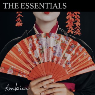 The Essentials: Ambien