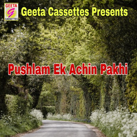 Pushlam Ek Achin Pakhi | Boomplay Music