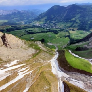 Grazing Cows, Bells, Proteins, and a Waterfall