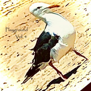 Playground, Vol. 4