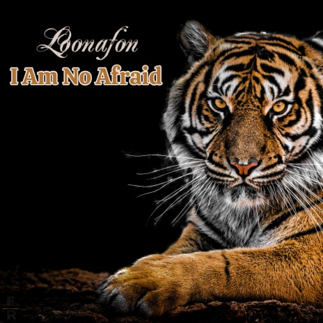 I Am Not Afraid | Boomplay Music