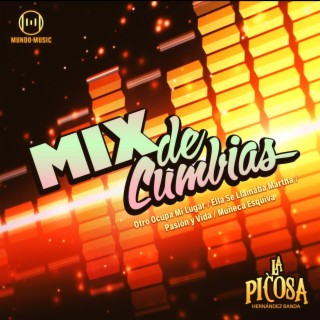 Mix de Cumbias: Otro Ocupa Mi Lugar / Ella Se Llamaba Martha / Pasión y Vida / Muñeca Esquiva