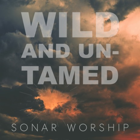 Wild and Untamed | Boomplay Music