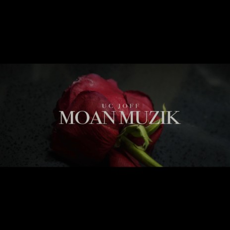 MOAN MUZIK | Boomplay Music