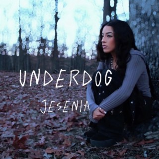 Underdog lyrics | Boomplay Music