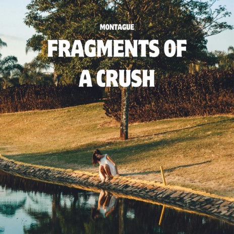 Fragments of a Crush