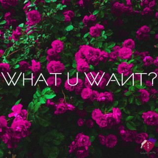 What U Want?