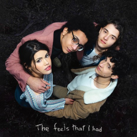 The Feels That I Had | Boomplay Music