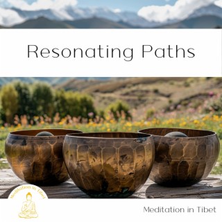 Resonating Paths: Singing Bowl for Mindfulness