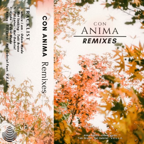 Coda (Odem Medo Remix) ft. Alma Animo & Tsunami Sounds