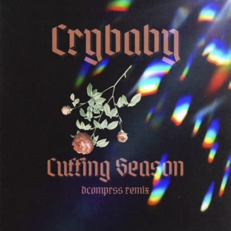 Crybaby (dcomprss Remix)