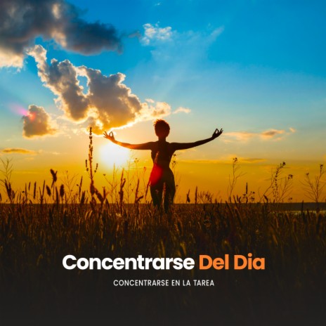 Reflexion Concentrada | Boomplay Music