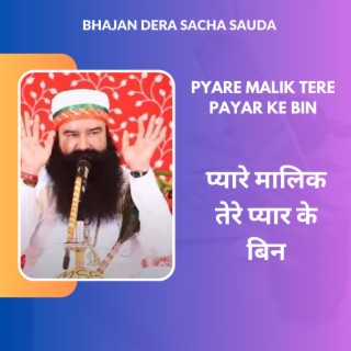 Pyare Malik Tere Payar ke Bin, Dera Sacha Sauda