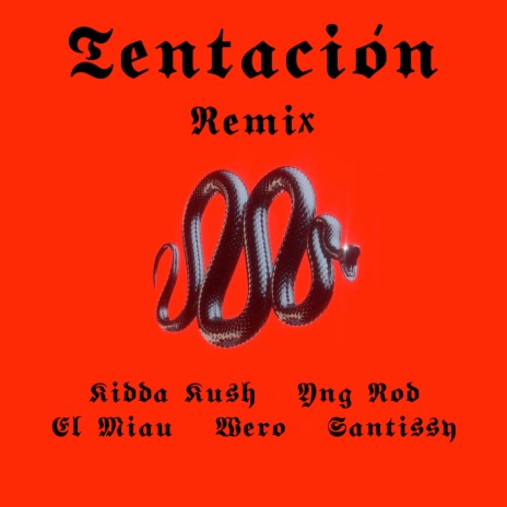 Tentación (Remix) ft. El Miau, Santissy, Wero & YngRod | Boomplay Music