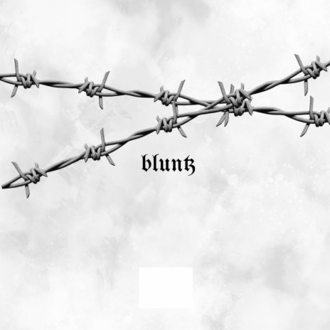 bluntz | Boomplay Music