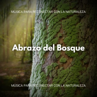 Abrazo del Bosque: Música para Reconectar con la Naturaleza