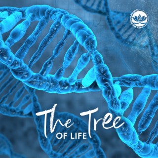 The Tree of Life: 528Hz DNA Upgrade, 237Hz Serotonin and Oxytocin Release, 912Hz Eliminate Toxins, 303Hz Sacral Chakra Stimulation, 216Hz Fulfilment & Truth, 800Hz Rife Cure