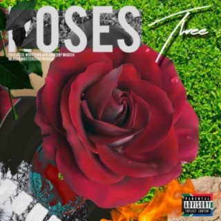 Roses 3