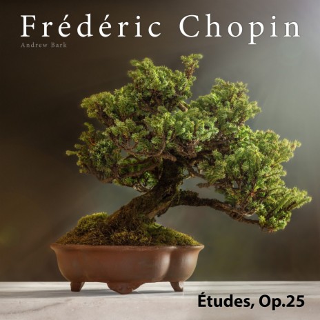 Études, Op.25: 1. Etude in A Flat Major 'Aeolian Harp'