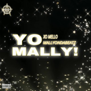 YO MALLY! (Slowed + Reverb) ft. MallyOnDaBeatz lyrics | Boomplay Music