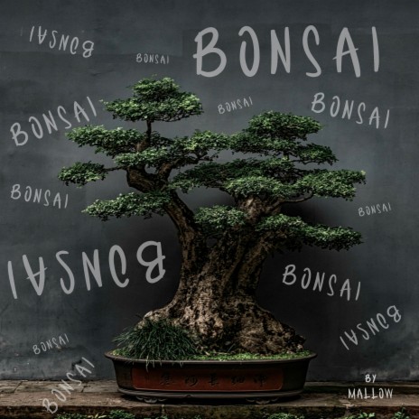 Bonsai | Boomplay Music