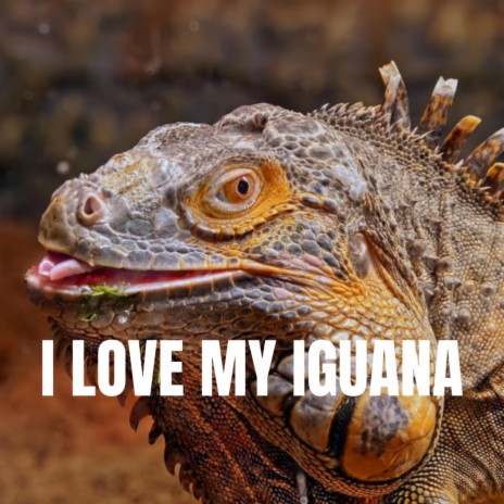 I Love My Iguana
