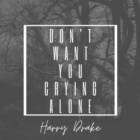 Don't Want You Crying Alone | Boomplay Music