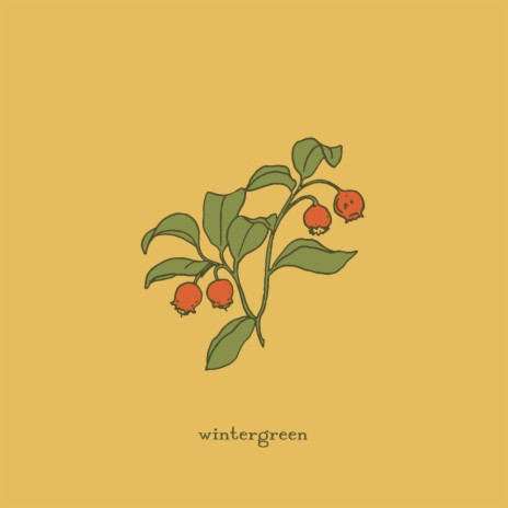 wintergreen