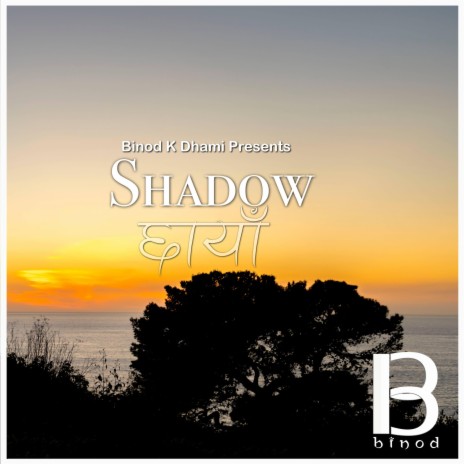 Shadow | Boomplay Music