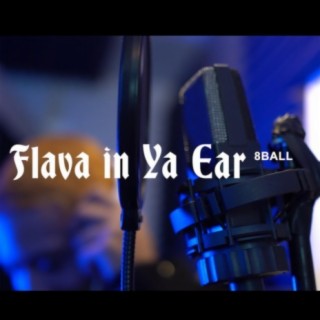 Flava in ya ear (remix)