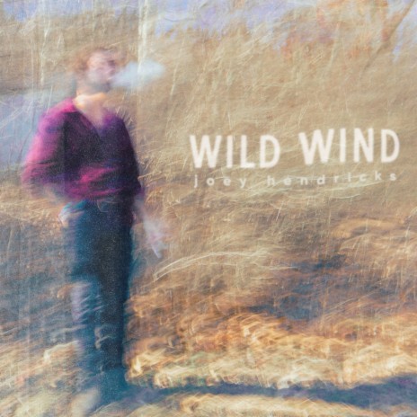 Wild Wind | Boomplay Music