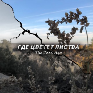 Где цветет листва