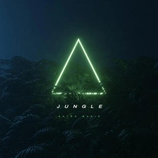 JUNGLE lyrics | Boomplay Music