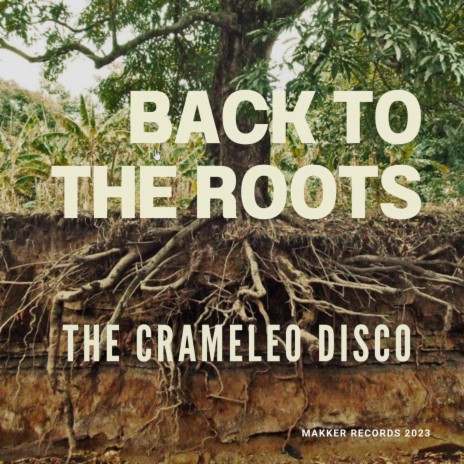 Back to the Roots | Boomplay Music