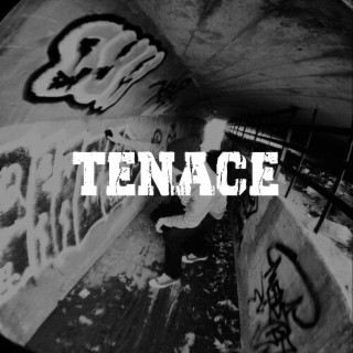 Tenace